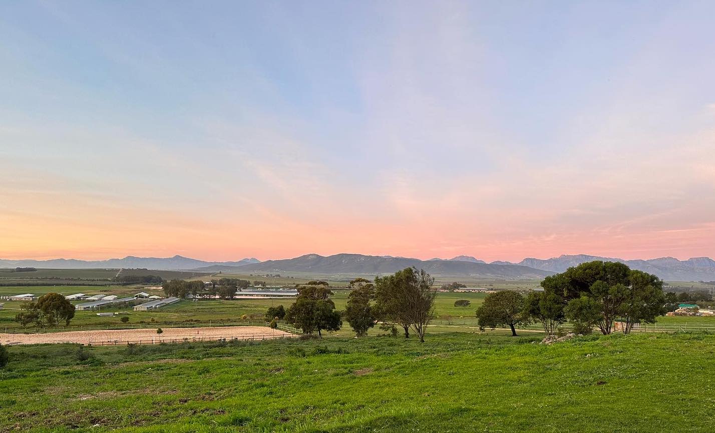 Winelands backdrop at Rivendale